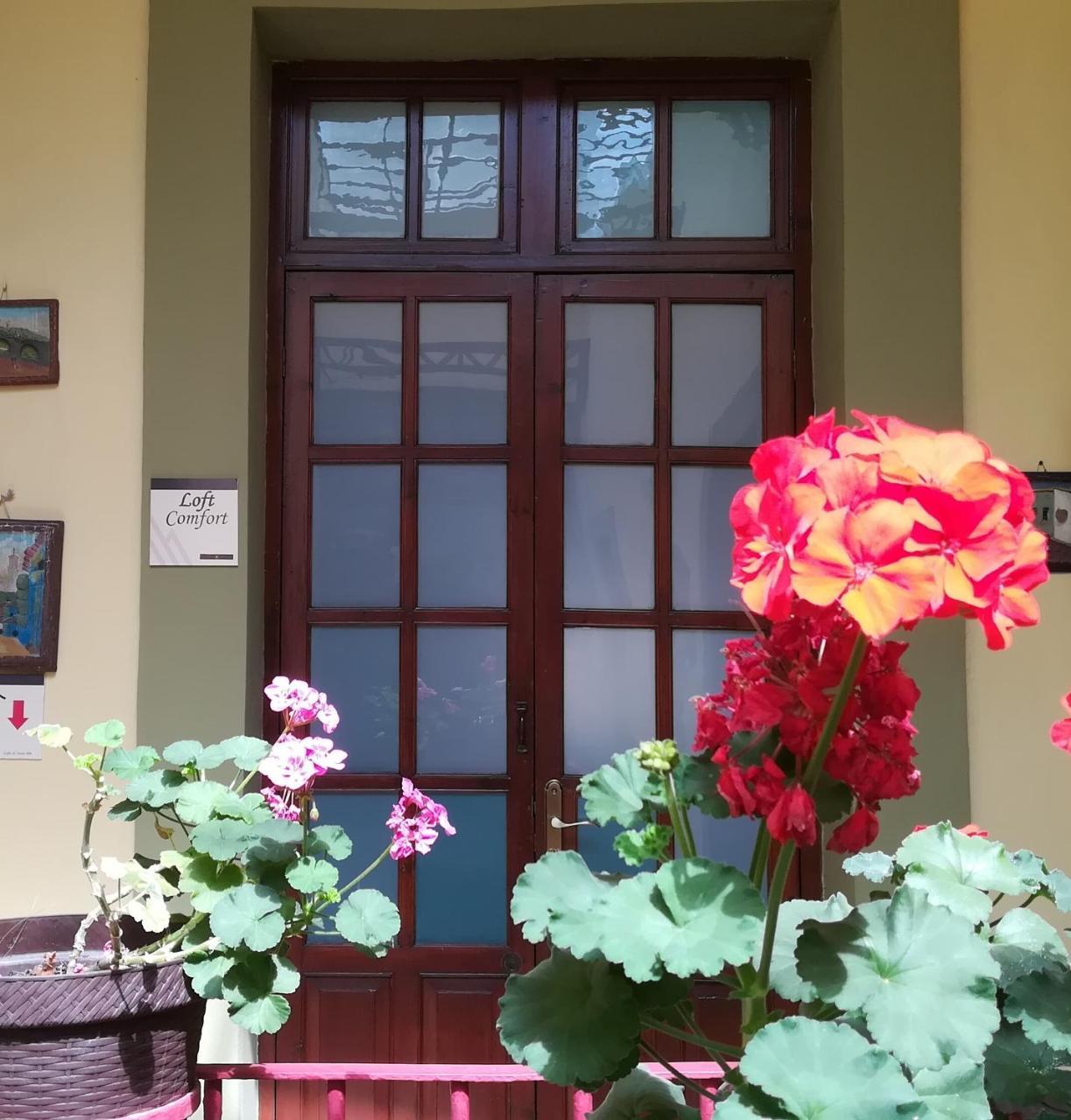 Casa Hotel Aroma 406 ปวยบลา ภายนอก รูปภาพ
